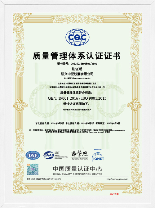 ISO 9001:2015